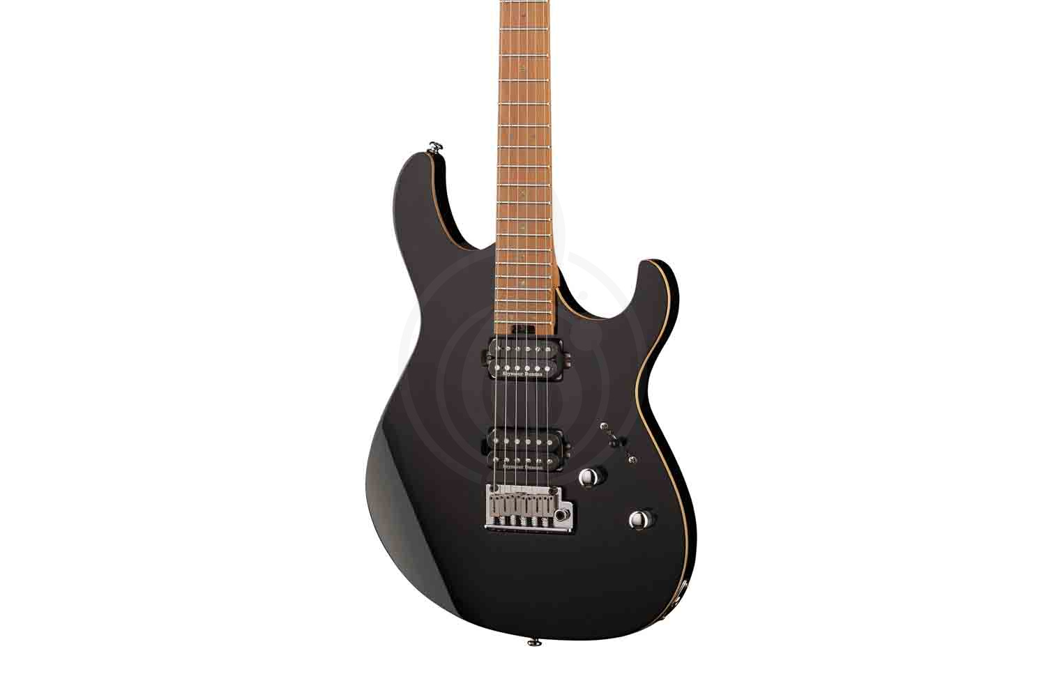 Электрогитара Stratocaster Cort G300-PRO-WBAG-BK G Series - Электрогитара, черная, с чехлом, Cort G300-PRO-WBAG-BK в магазине DominantaMusic - фото 2