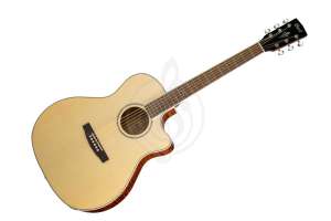 Изображение GA-FF-NAT Grand Regal Series