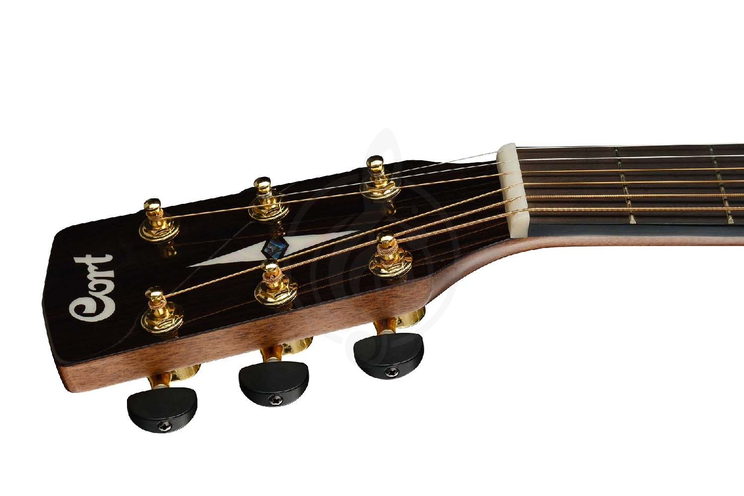 Электроакустическая гитара Cort GA-MY-Bevel-NAT Grand Regal Series - Электроакустическая гитара, Cort GA-MY-Bevel-NAT Grand Regal Series в магазине Доминанта мьюзик - фото 6