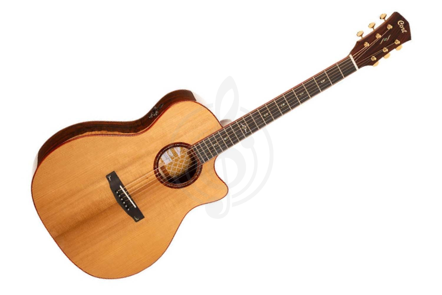 Электроакустическая гитара Cort Gold-A10-Cocobolo-WCASE-NAT Gold Series - Электроакустическая гитара, Cort Gold-A10-Cocobolo-WCASE-NAT Gold Series в магазине Доминанта мьюзик - фото 1