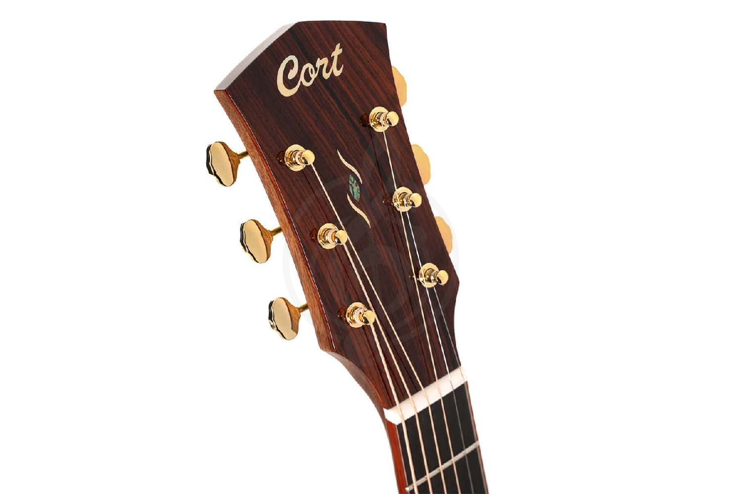 Электроакустическая гитара Cort Gold-A10-Cocobolo-WCASE-NAT Gold Series - Электроакустическая гитара, Cort Gold-A10-Cocobolo-WCASE-NAT Gold Series в магазине Доминанта мьюзик - фото 6