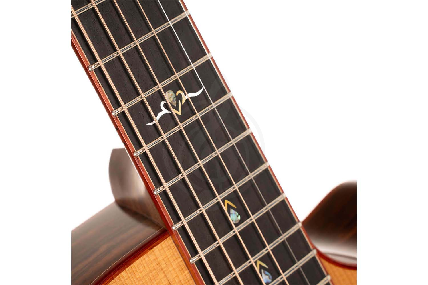 Электроакустическая гитара Cort Gold-A10-Cocobolo-WCASE-NAT Gold Series - Электроакустическая гитара, Cort Gold-A10-Cocobolo-WCASE-NAT Gold Series в магазине Доминанта мьюзик - фото 7