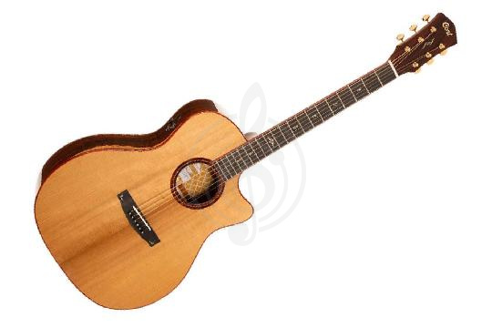 Электроакустическая гитара Cort Gold-A10-Cocobolo-WCASE-NAT Gold Series - Электроакустическая гитара, Cort Gold-A10-Cocobolo-WCASE-NAT Gold Series в магазине Доминанта мьюзик - фото 1