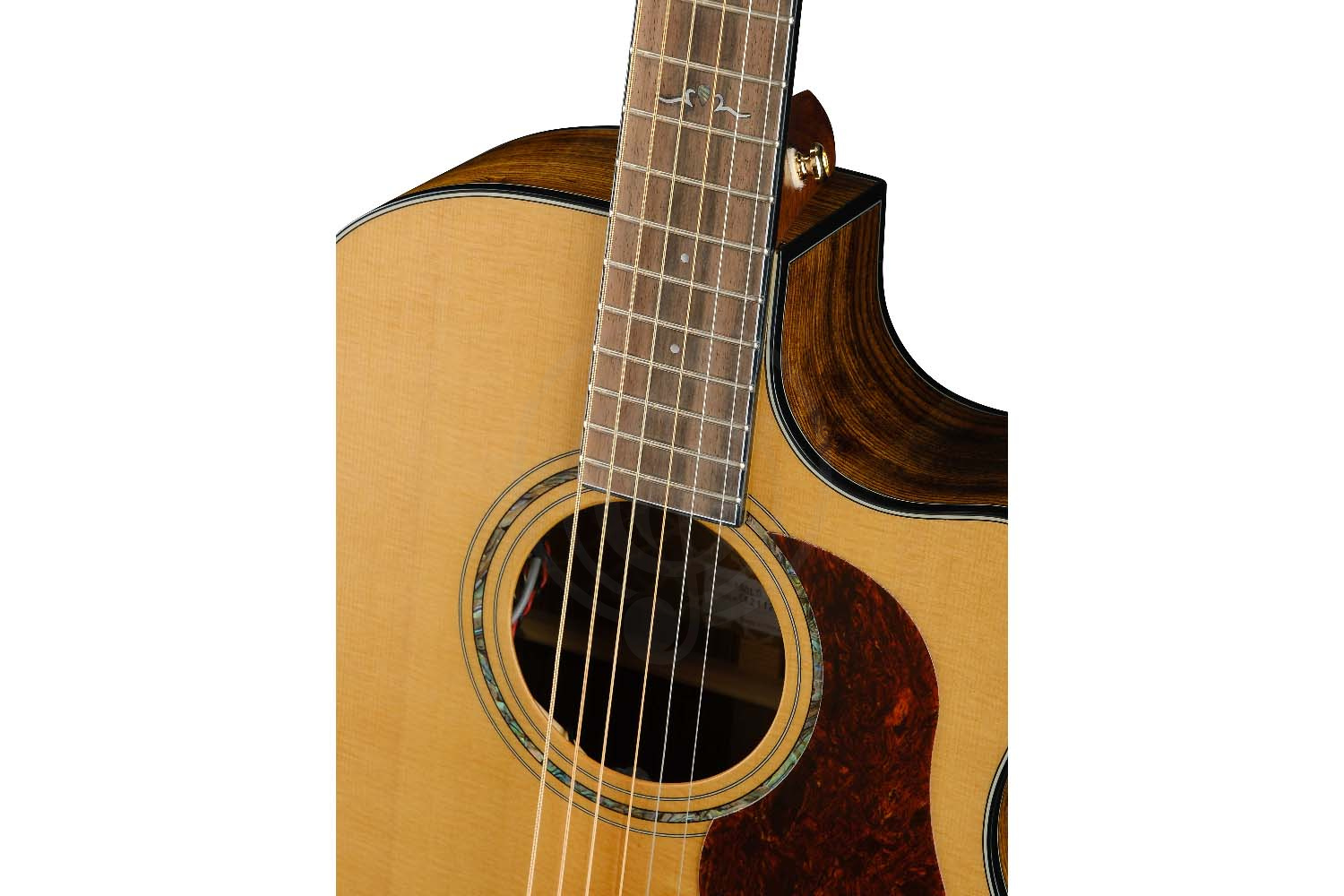 Электроакустическая гитара Cort Gold-A6-Bocote-WCASE-NAT Gold Series - Электроакустическая гитара, Cort Gold-A6-Bocote-WCASE-NAT Gold Series в магазине Доминанта мьюзик - фото 11