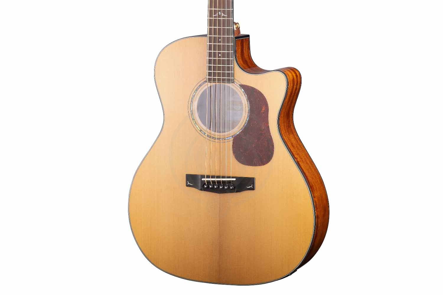 Электроакустическая гитара Cort Gold-A6-WCASE-NAT Gold Series - Электроакустическая гитара, Cort Gold-A6-WCASE-NAT Gold Series в магазине Доминанта мьюзик - фото 9