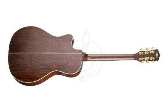 Электроакустическая гитара Cort Gold-A8-WCASE-LB Gold Series - Электроакустическая гитара, Cort Gold-A8-WCASE-LB Gold Series в магазине Доминанта мьюзик - фото 10