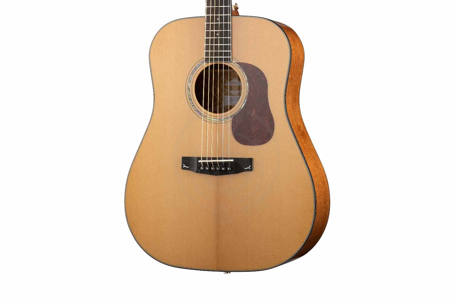 Акустическая гитара Cort GOLD-D6-WCASE-NAT Gold Series - Акустическая гитара, Cort GOLD-D6-WCASE-NAT Gold Series в магазине Доминанта мьюзик - фото 2