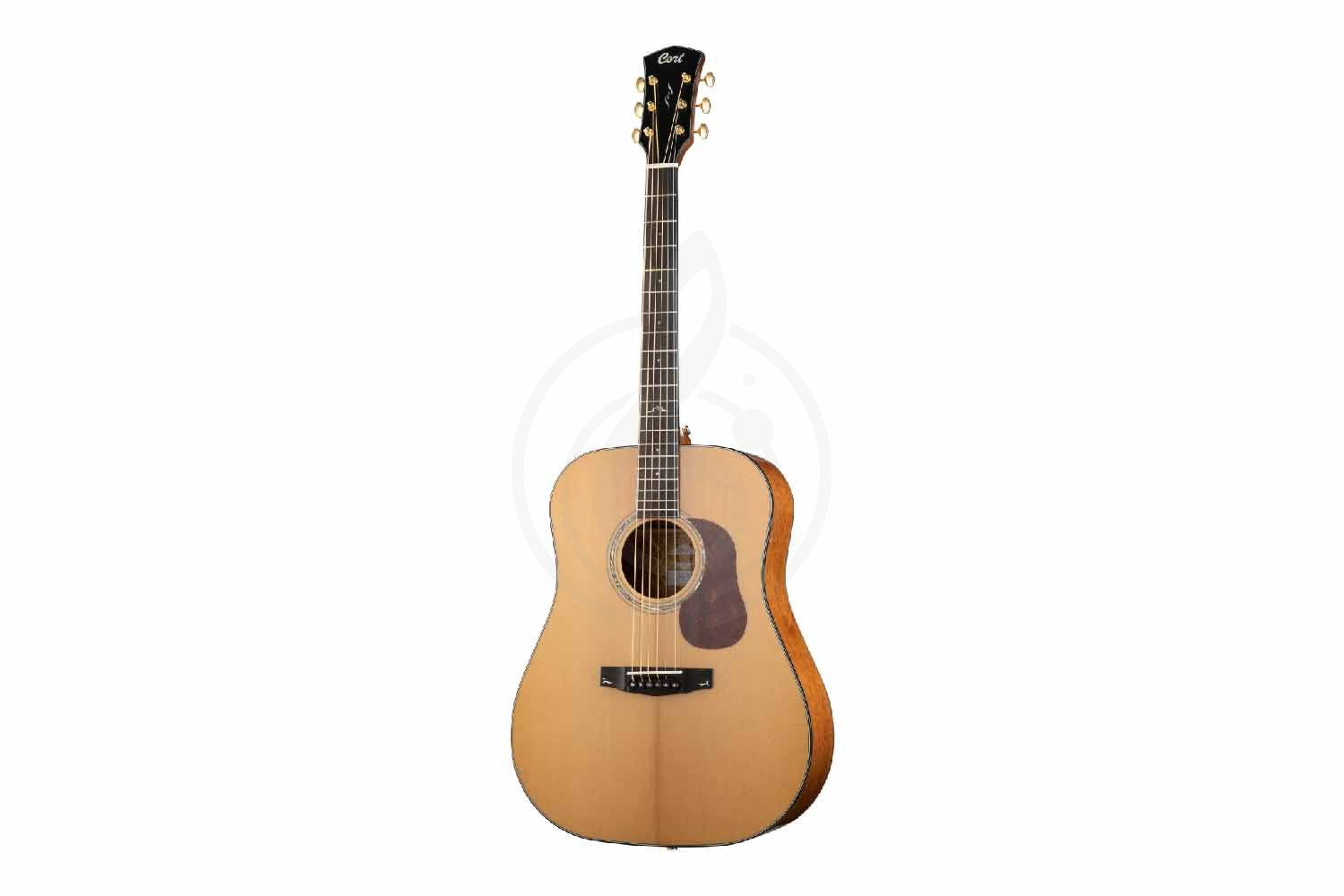 Акустическая гитара Cort GOLD-D6-WCASE-NAT Gold Series - Акустическая гитара, Cort GOLD-D6-WCASE-NAT Gold Series в магазине Доминанта мьюзик - фото 4