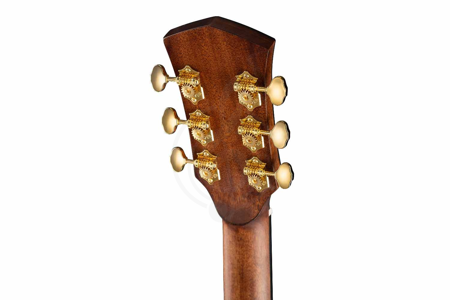 Акустическая гитара Cort GOLD-D6-WCASE-NAT Gold Series - Акустическая гитара, Cort GOLD-D6-WCASE-NAT Gold Series в магазине Доминанта мьюзик - фото 6