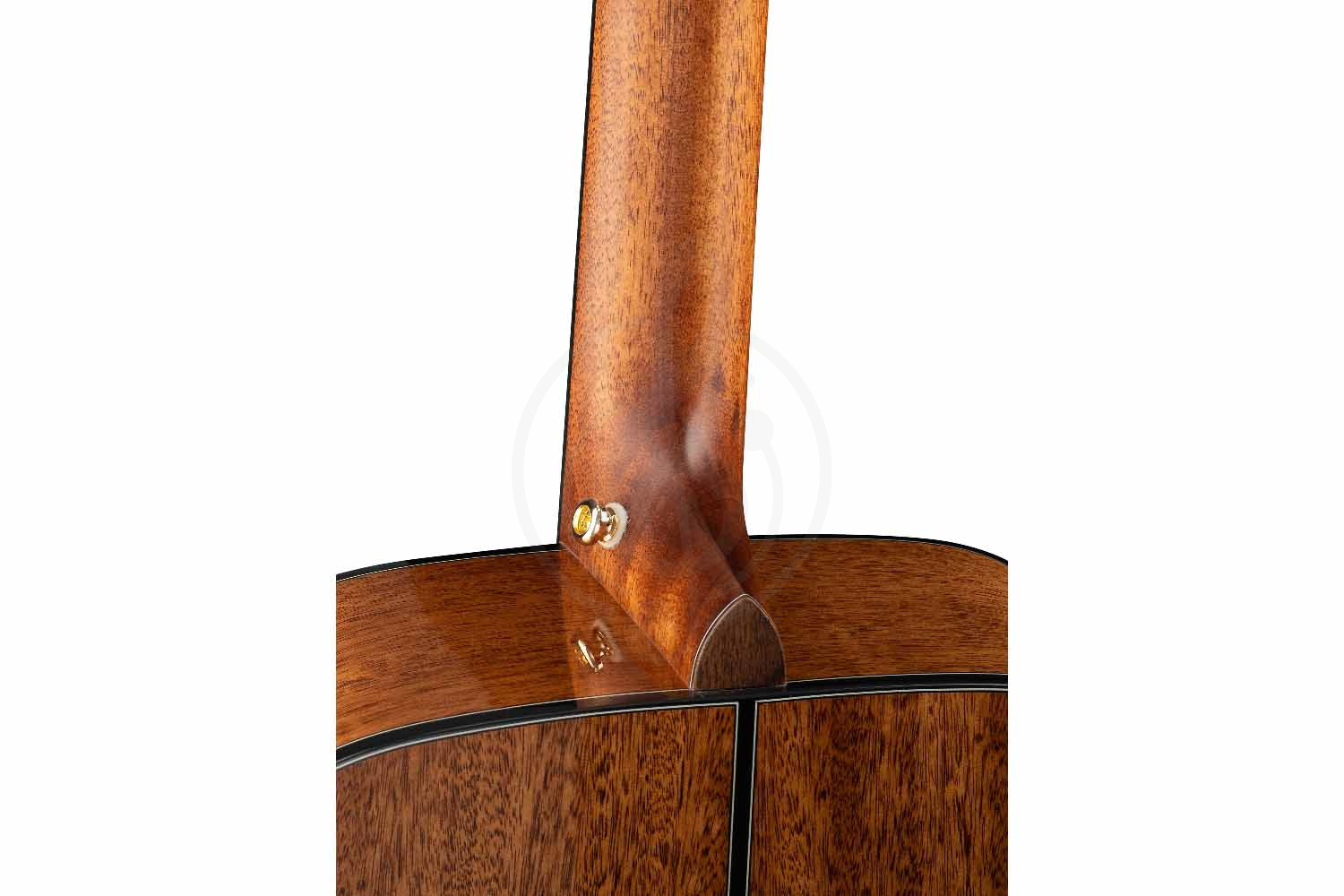 Акустическая гитара Cort GOLD-D6-WCASE-NAT Gold Series - Акустическая гитара, Cort GOLD-D6-WCASE-NAT Gold Series в магазине Доминанта мьюзик - фото 10