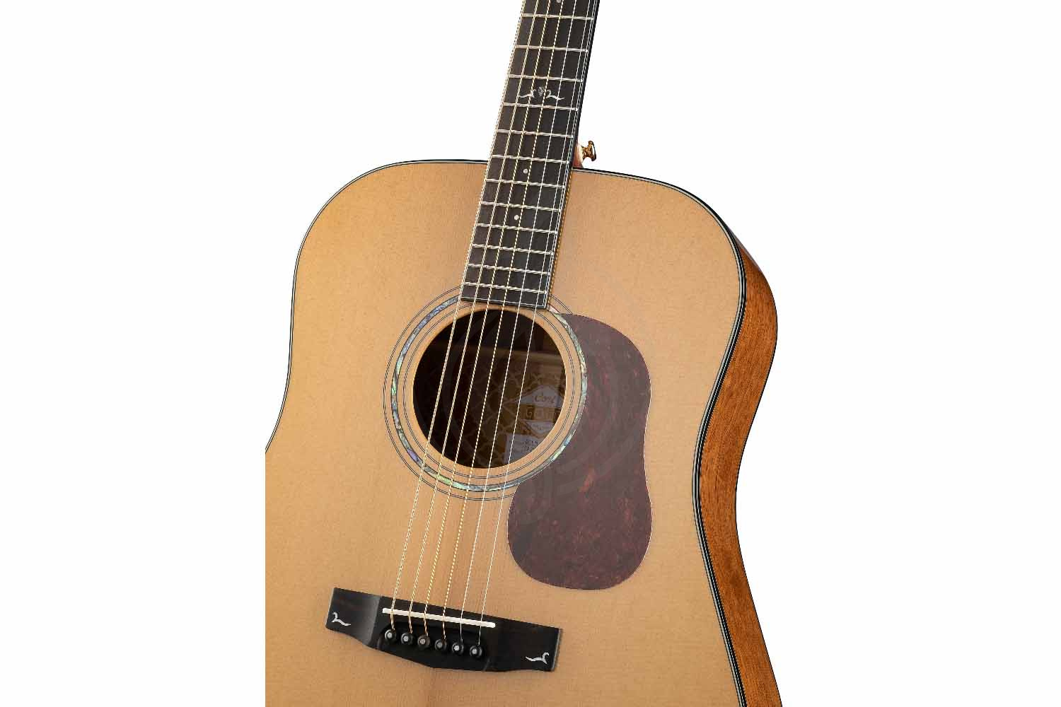 Акустическая гитара Cort GOLD-D6-WCASE-NAT Gold Series - Акустическая гитара, Cort GOLD-D6-WCASE-NAT Gold Series в магазине Доминанта мьюзик - фото 11