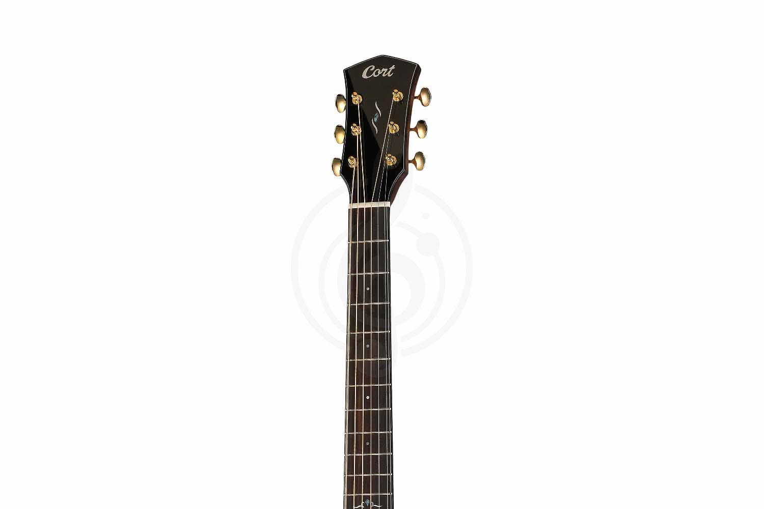 Электроакустическая гитара Cort Gold-MC6-Ovangkol-WCASE-NAT Gold Series - Электроакустическая гитара, Cort Gold-MC6-Ovangkol-WCASE-NAT Gold Series в магазине Доминанта мьюзик - фото 8
