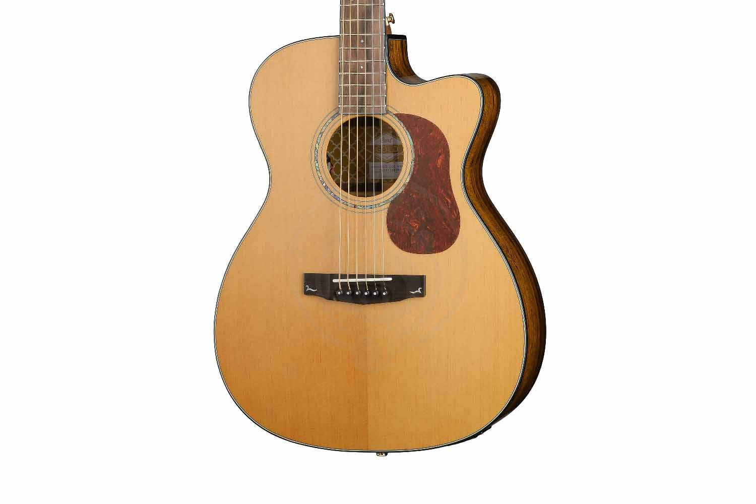 Электроакустическая гитара Cort Gold-OC6-Bocote-WCASE-NAT Gold Series - Электроакустическая гитара, Cort Gold-OC6-Bocote-WCASE-NAT Gold Series в магазине Доминанта мьюзик - фото 3