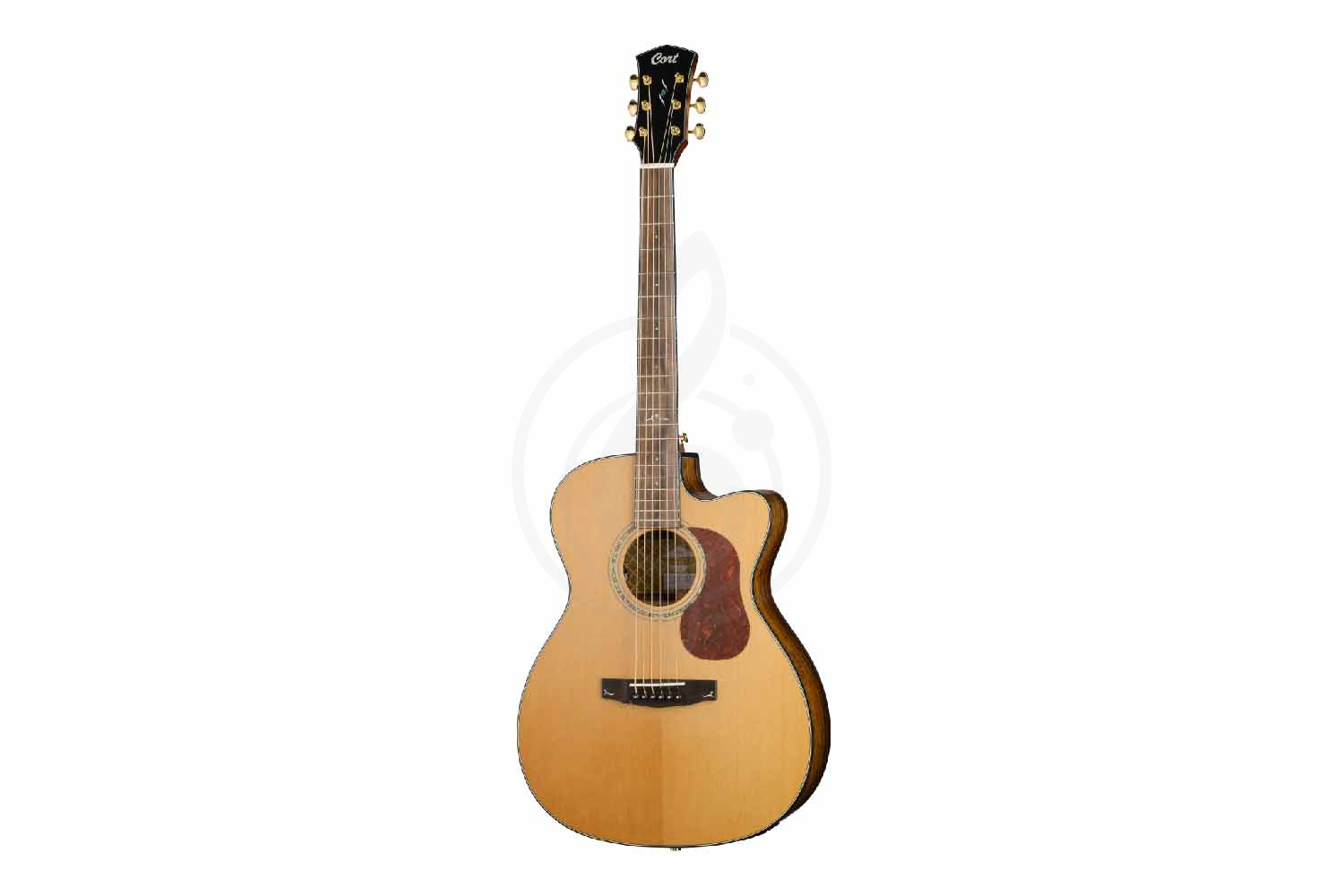 Электроакустическая гитара Cort Gold-OC6-Bocote-WCASE-NAT Gold Series - Электроакустическая гитара, Cort Gold-OC6-Bocote-WCASE-NAT Gold Series в магазине Доминанта мьюзик - фото 5