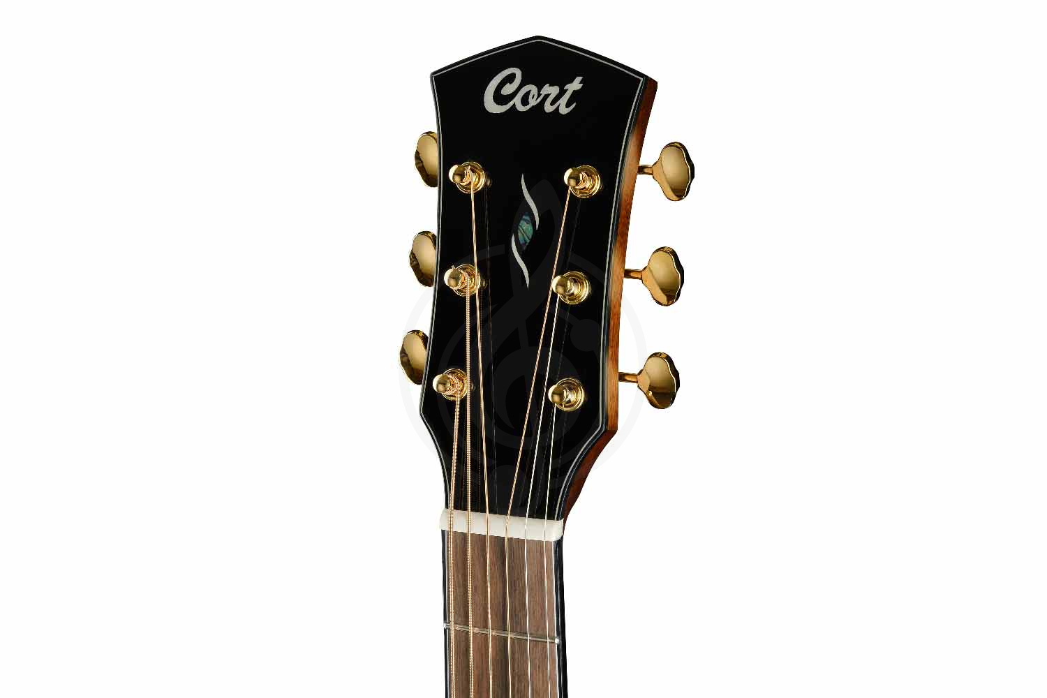 Электроакустическая гитара Cort Gold-OC6-Bocote-WCASE-NAT Gold Series - Электроакустическая гитара, Cort Gold-OC6-Bocote-WCASE-NAT Gold Series в магазине Доминанта мьюзик - фото 8