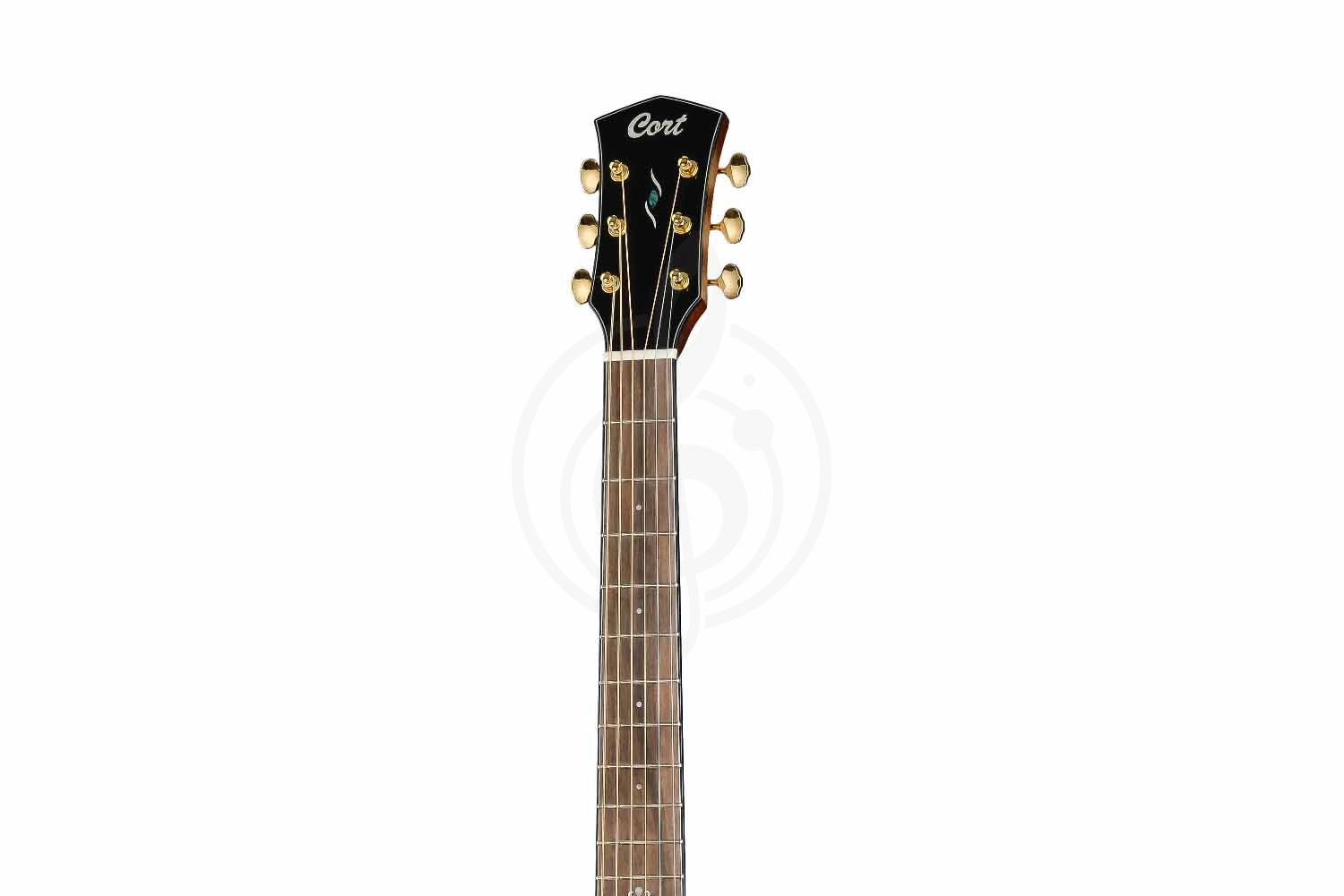 Электроакустическая гитара Cort Gold-OC6-Bocote-WCASE-NAT Gold Series - Электроакустическая гитара, Cort Gold-OC6-Bocote-WCASE-NAT Gold Series в магазине Доминанта мьюзик - фото 10