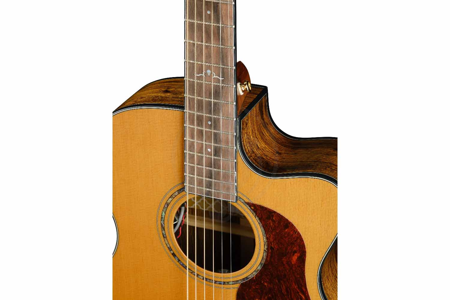 Электроакустическая гитара Cort Gold-OC6-Bocote-WCASE-NAT Gold Series - Электроакустическая гитара, Cort Gold-OC6-Bocote-WCASE-NAT Gold Series в магазине Доминанта мьюзик - фото 13