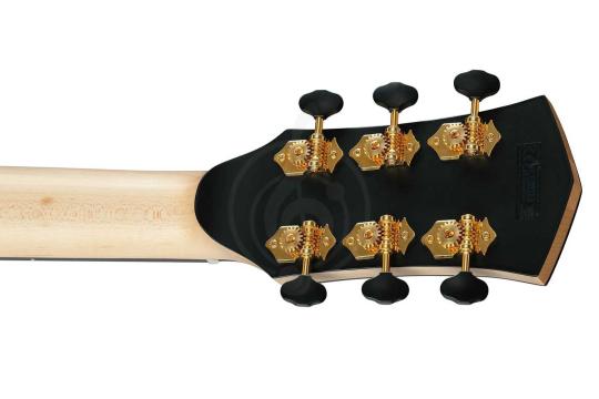 Cort Gold-Passion-WCASE-NAT Gold Series - Электроакустическая гитара - фото 14 Электроакустическая гитара Cort Gold-Passion-WCASE-NAT Gold Series - Электроакустическая гитара, Gold-Passion-WCASE-NAT Gold Series в магазине DominantaMusic - фото 14