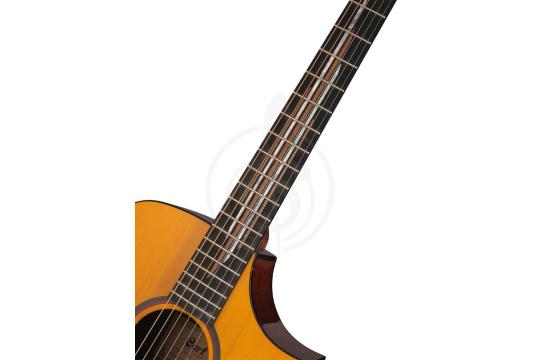 Cort LUXE-II-WCASE-NAT Frank Gambale Series - Электро-акустическая гитара - фото 8 Электроакустическая гитара Cort LUXE-II-WCASE-NAT Frank Gambale Series - Электро-акустическая гитара, LUXE-II-WCASE-NAT Frank Gambale Series в магазине DominantaMusic - фото 8
