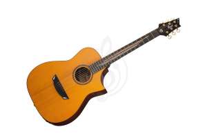 Изображение Cort LUXE-II-WCASE-NAT Frank Gambale Series