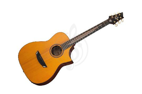 Изображение Cort LUXE-II-WCASE-NAT Frank Gambale Series