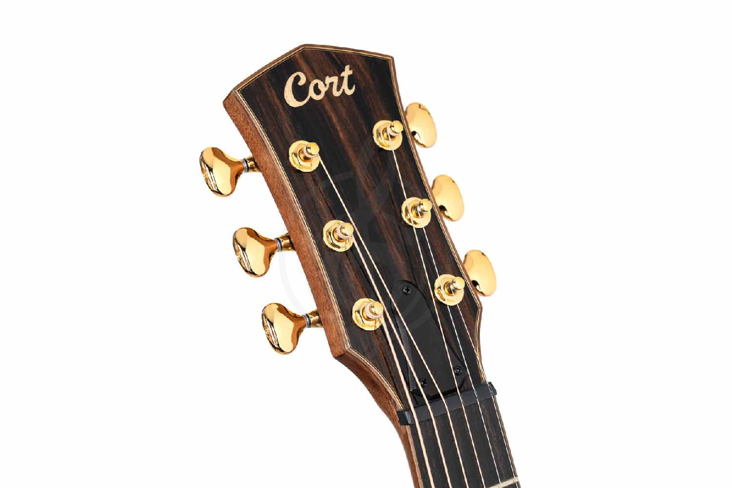 Электроакустическая гитара Cort Modern-Burgundy-WCASE-TBD Masterpiece Series - Электроакустическая гитара, Cort Modern-Burgundy-WCASE-TBD Masterpiece Series в магазине Доминанта мьюзик - фото 7