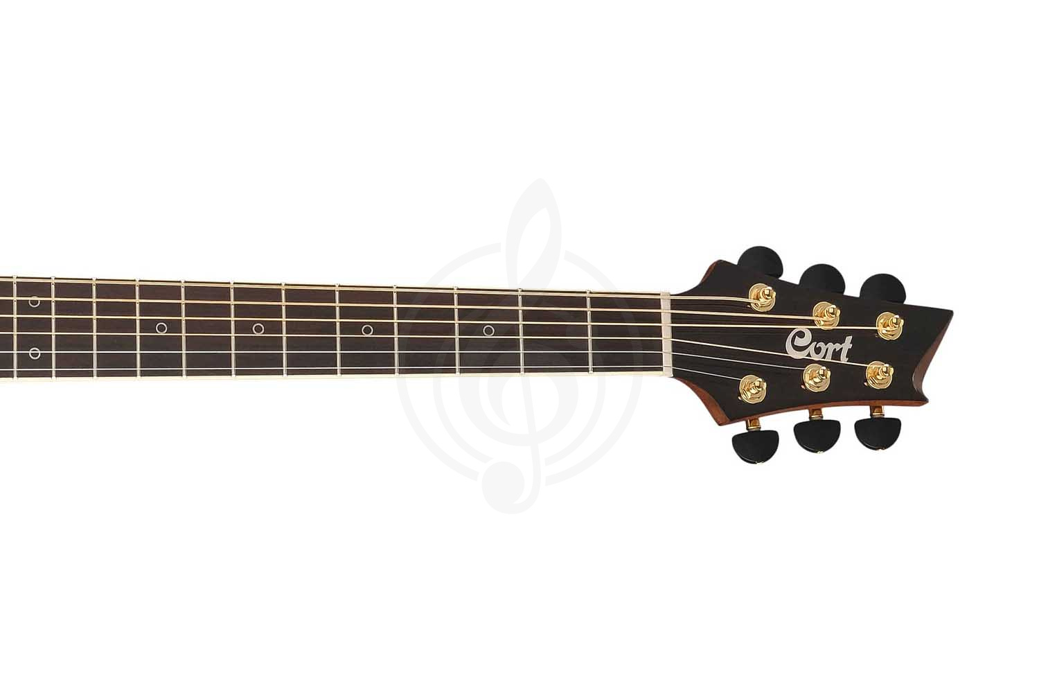 Cort NDX-50-NAT NDX Series - Электроакустическая гитара - фото 3 Электроакустическая гитара Cort NDX-50-NAT NDX Series - Электроакустическая гитара, NDX-50-NAT NDX Series в магазине DominantaMusic - фото 3