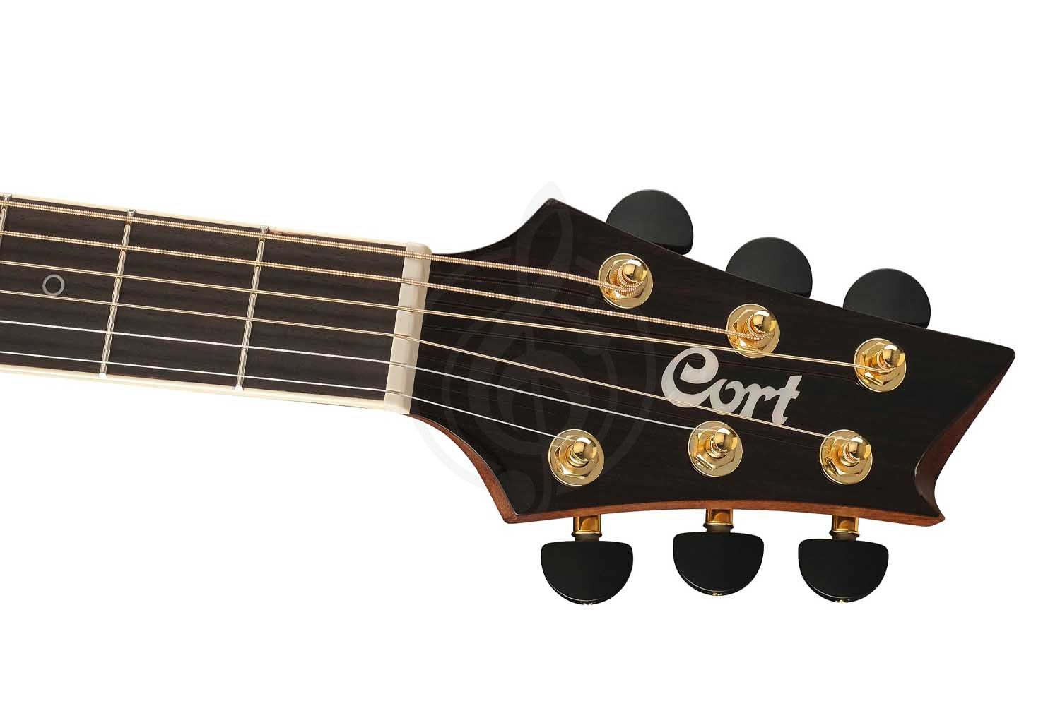 Cort NDX-50-NAT NDX Series - Электроакустическая гитара - фото 5 Электроакустическая гитара Cort NDX-50-NAT NDX Series - Электроакустическая гитара, NDX-50-NAT NDX Series в магазине DominantaMusic - фото 5