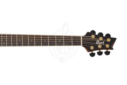 Cort NDX-50-NAT NDX Series - Электроакустическая гитара - фото 3 Электроакустическая гитара Cort NDX-50-NAT NDX Series - Электроакустическая гитара, NDX-50-NAT NDX Series в магазине DominantaMusic - фото 3