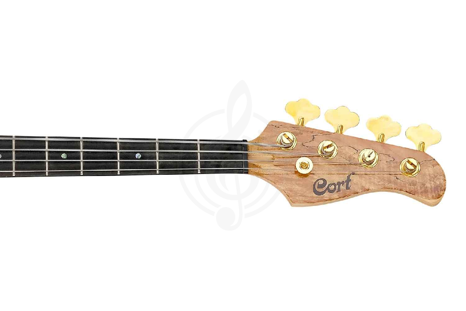 Бас-гитара Cort Rithimic-NAT Rithimic Series - Бас-гитара 4 струны, цвет натуральный, Cort Rithimic-NAT Rithimic Series в магазине DominantaMusic - фото 11