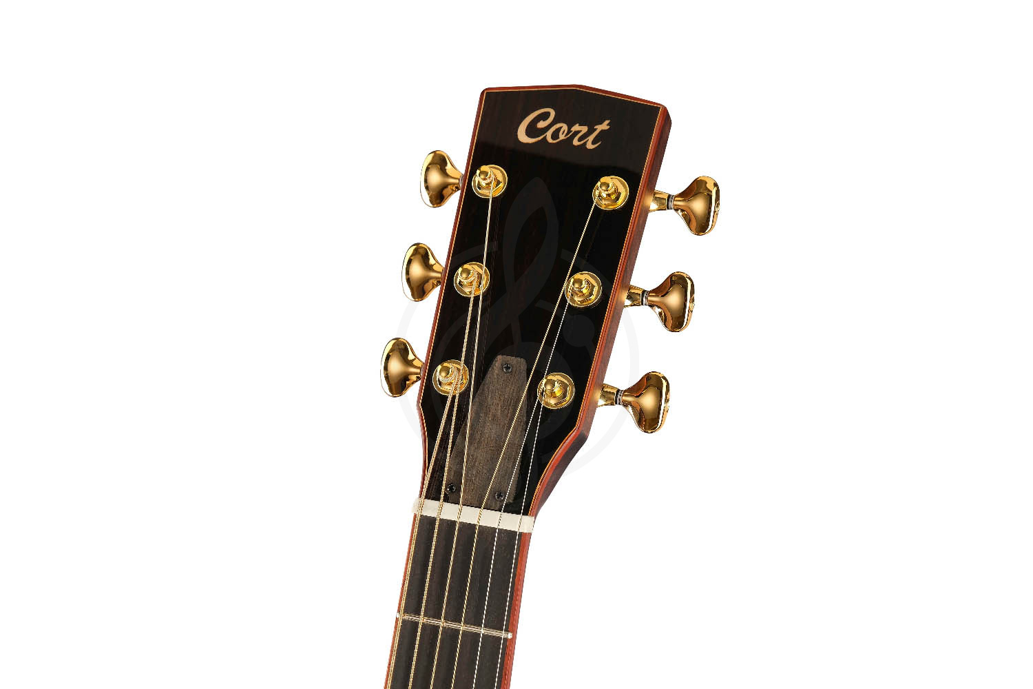 Электроакустическая гитара Cort Roselyn-Redux-WCASE-NAT Masterpiece Series - Электроакустическая гитара, Cort Roselyn-Redux-WCASE-NAT Masterpiece Series в магазине Доминанта мьюзик - фото 15