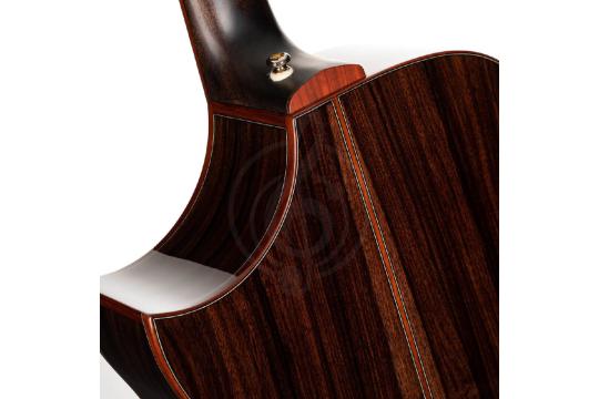 Электроакустическая гитара Cort Roselyn-Redux-WCASE-NAT Masterpiece Series - Электроакустическая гитара, Cort Roselyn-Redux-WCASE-NAT Masterpiece Series в магазине Доминанта мьюзик - фото 7