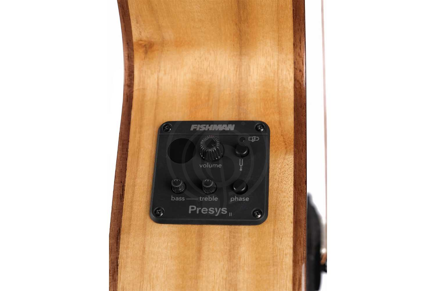 Cort SFX-Myrtlewood-BR SFX Series - Электроакустическая гитара - фото 3 Электроакустическая гитара Cort SFX-Myrtlewood-BR SFX Series - Электроакустическая гитара, SFX-Myrtlewood-BR SFX Series в магазине DominantaMusic - фото 3