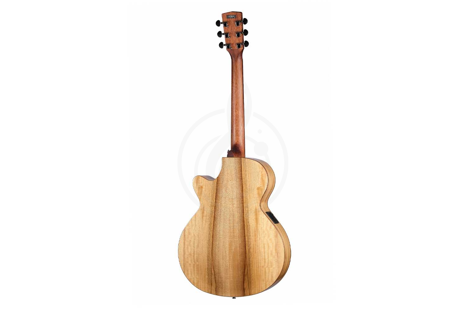 Cort SFX-Myrtlewood-BR SFX Series - Электроакустическая гитара - фото 6 Электроакустическая гитара Cort SFX-Myrtlewood-BR SFX Series - Электроакустическая гитара, SFX-Myrtlewood-BR SFX Series в магазине DominantaMusic - фото 6
