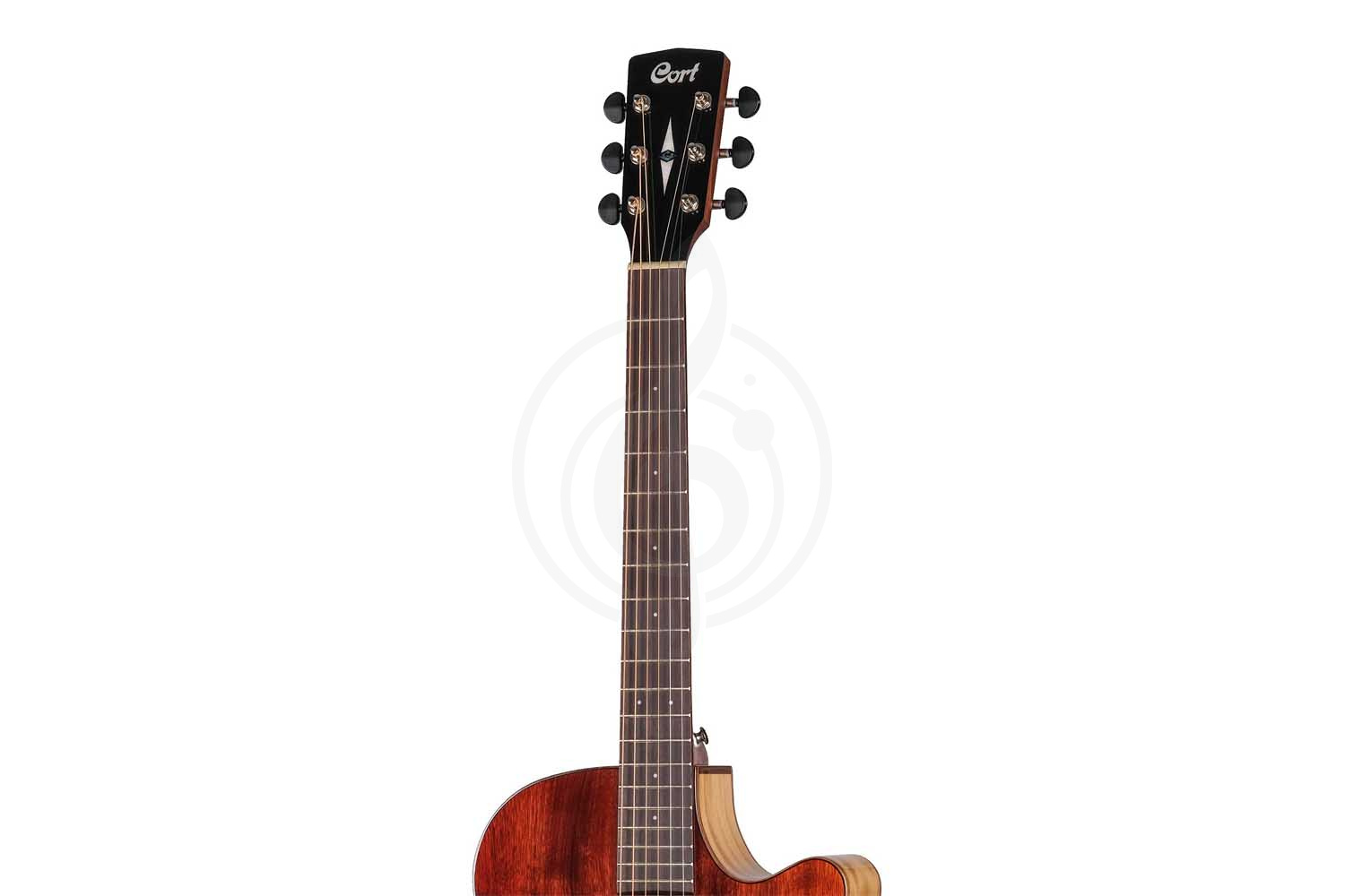 Cort SFX-Myrtlewood-BR SFX Series - Электроакустическая гитара - фото 7 Электроакустическая гитара Cort SFX-Myrtlewood-BR SFX Series - Электроакустическая гитара, SFX-Myrtlewood-BR SFX Series в магазине DominantaMusic - фото 7