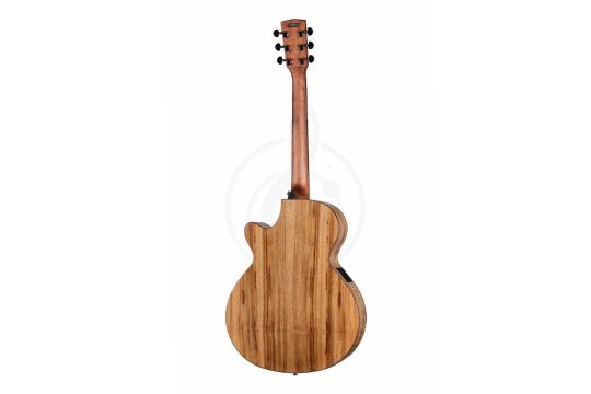 Cort SFX-Myrtlewood-NAT SFX Series - Электроакустическая гитара - фото 6 Электроакустическая гитара Cort SFX-Myrtlewood-NAT SFX Series - Электроакустическая гитара, SFX-Myrtlewood-NAT SFX Series в магазине DominantaMusic - фото 6