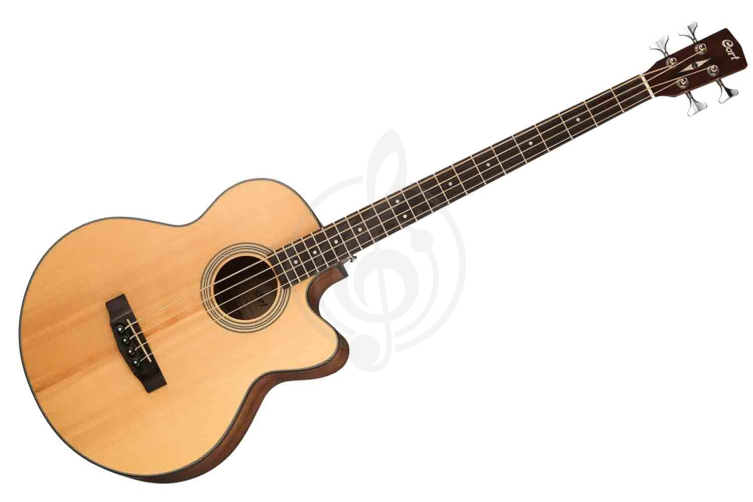 Акустическая бас-гитара Cort SJB5F-NS-WBAG Acoustic Bass Series - Электро-акустическая бас-гитара, Cort SJB5F-NS-WBAG в магазине Доминанта мьюзик - фото 1