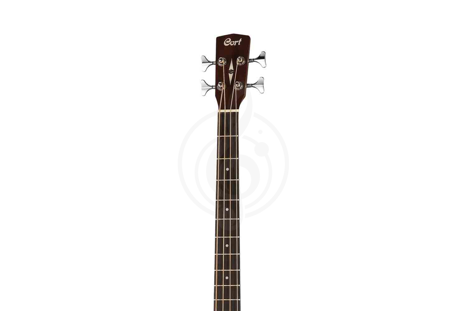 Акустическая бас-гитара Cort SJB5F-NS-WBAG Acoustic Bass Series - Электро-акустическая бас-гитара, Cort SJB5F-NS-WBAG в магазине Доминанта мьюзик - фото 8