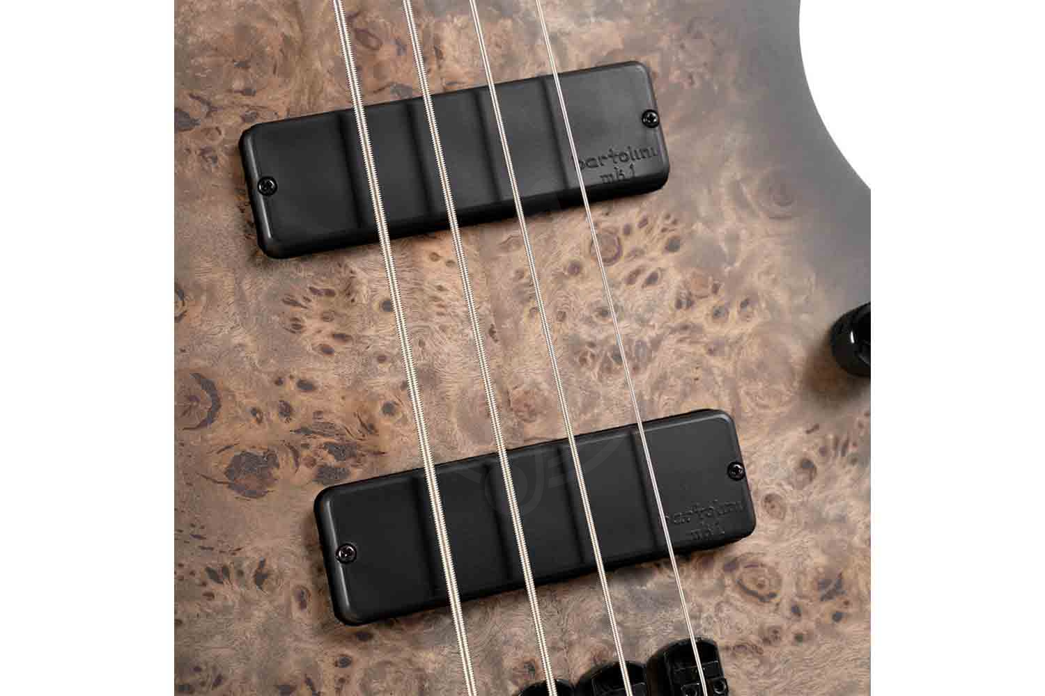Бас-гитара Cort Space4-WBAG-SDB Artisan Series - Бас-гитара,  Space4-WBAG-SDB в магазине DominantaMusic - фото 7