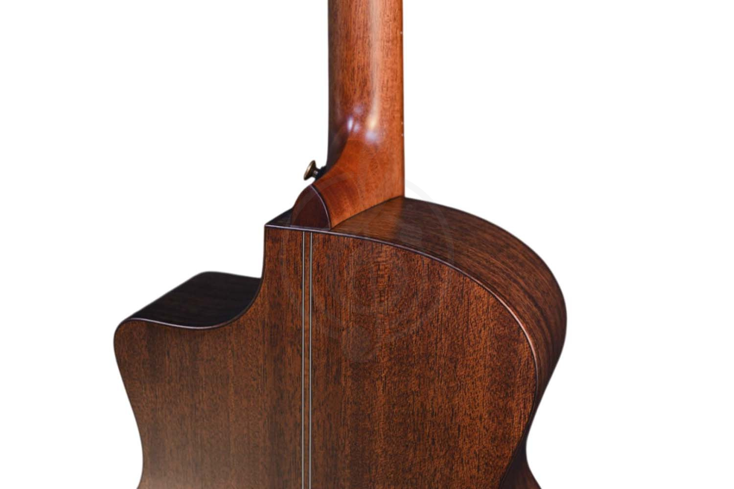 Электроакустическая гитара CRAFTER MIND W PREMIUM Te - Гитара электроакустическая, Crafter MIND W PREMIUM Te в магазине DominantaMusic - фото 2