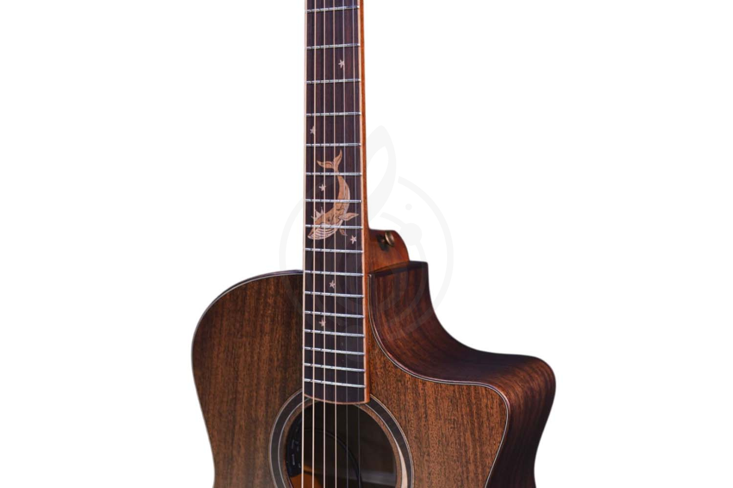 Электроакустическая гитара CRAFTER MIND W PREMIUM Te - Гитара электроакустическая, Crafter MIND W PREMIUM Te в магазине DominantaMusic - фото 3