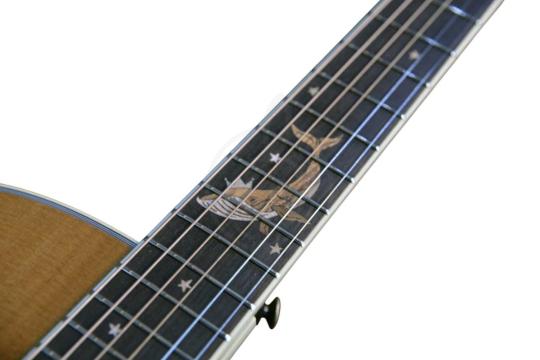 Электроакустическая гитара CRAFTER MIND W PRESTIGE ROSE Gce VVS - Гитара электроакустическая,  MIND W PRESTIGE ROSE Gce VVS в магазине DominantaMusic - фото 3