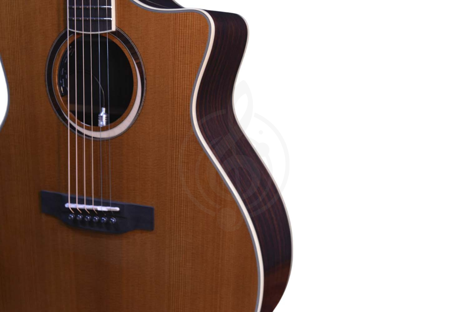 Электроакустическая гитара CRAFTER MIND W PRESTIGE ROSE Tce VVS - Гитара электроакустическая, Crafter MIND W PRESTIGE ROSE Tce VVS в магазине Доминанта мьюзик - фото 3