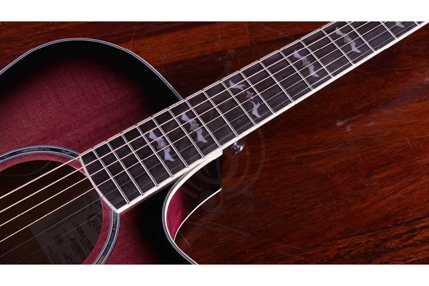 CRAFTER NOBLE TPS Edition - Гитара электроакустическая - фото 5 Электроакустическая гитара CRAFTER NOBLE TPS Edition - Гитара электроакустическая, NOBLE TPS Edition в магазине DominantaMusic - фото 5