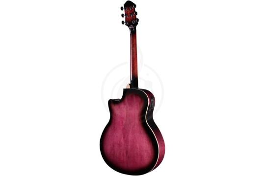 CRAFTER NOBLE TPS Edition - Гитара электроакустическая - фото 2 Электроакустическая гитара CRAFTER NOBLE TPS Edition - Гитара электроакустическая, Crafter NOBLE TPS Edition в магазине DominantaMusic - фото 2