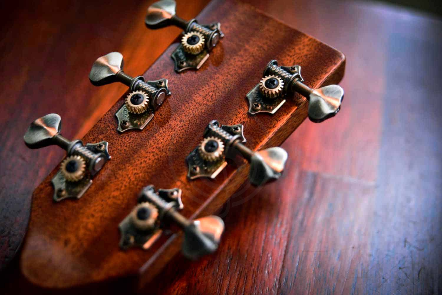 Электроакустическая гитара CRAFTER SungEum D-50th e VVS - Гитара электроакустическая, Crafter SungEum D-50th e VVS в магазине DominantaMusic - фото 2