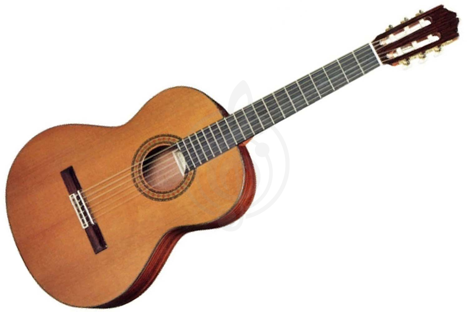 Классическая гитара 1/2 CUENCA R-10 REQUINTO 1/2 Гитара классическая, Cuenca R-10 REQUINTO 1/2 в магазине DominantaMusic - фото 1