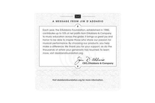 Струны для классической гитары D'Addario EJ46FF Pro-Arte Carbon - Струны для классической гитары, D'Addario EJ46FF в магазине Доминанта мьюзик - фото 2