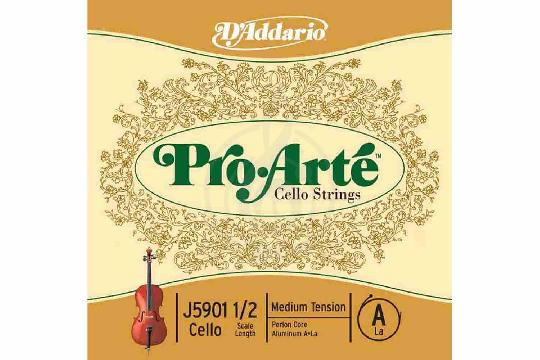 Струны для виолончели D'Addario J5901-1/2M-B10 Pro-Arte - Отдельная струна A/Ля для виолончели 1/2, среднее натяжение, D'Addario J5901-1/2M-B10 Pro-Arte в магазине DominantaMusic - фото 1