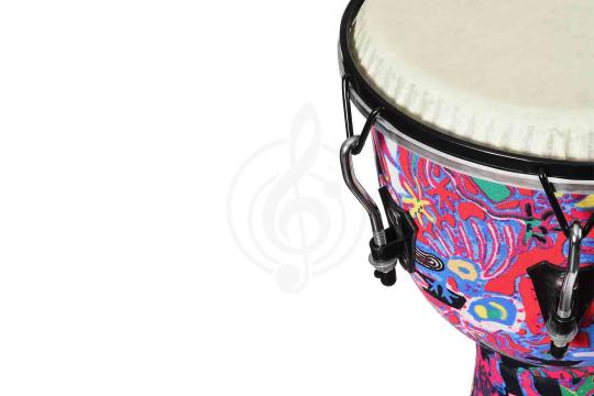 DEKKO DJGG-2-10 - Джембе - фото 2 Джембе DEKKO DJGG-2-10 - Джембе, DJGG-2-10 в магазине DominantaMusic - фото 2